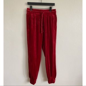 Anthropologie Velour Joggers